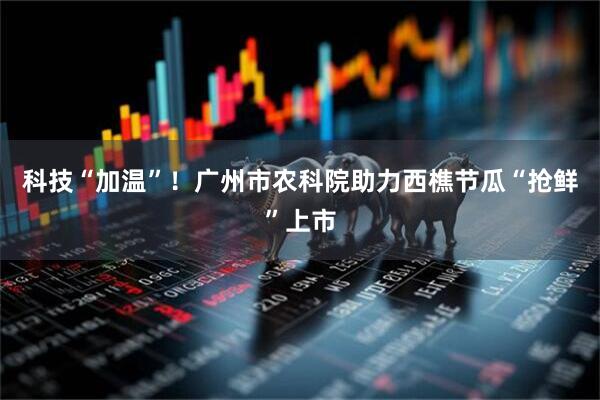 科技“加温”！广州市农科院助力西樵节瓜“抢鲜”上市